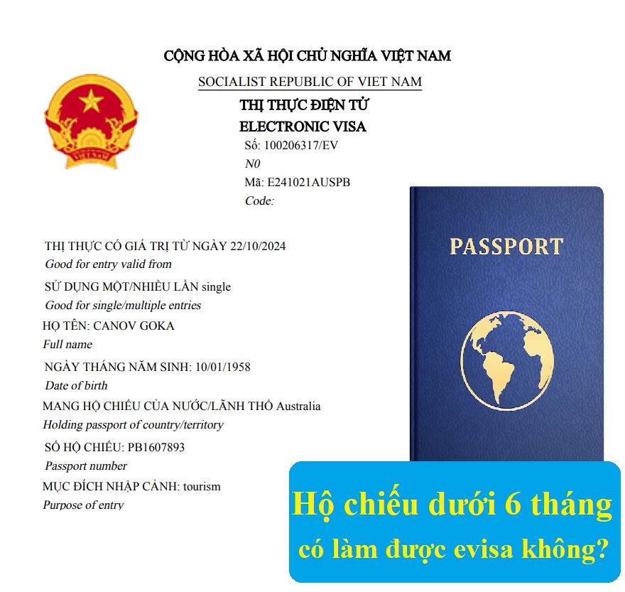 Hộ chiếu dưới 6 tháng có làm được evisa không