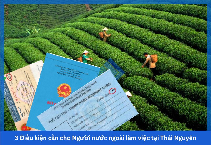 3 Điều kiện cần cho Người nước ngoài làm việc tại Thái Nguyên